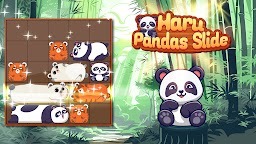 Haru Pandas Slide