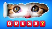 Word Spin