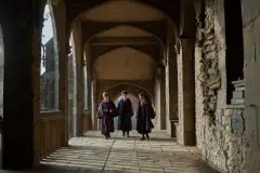 HBO's Harry Potter Reveals New Dobby and Young Voldemort Replacements
