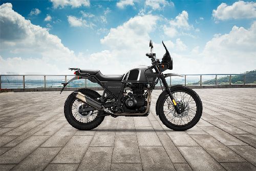 Himalayan